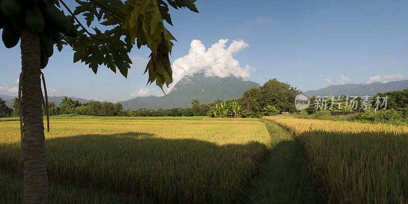 Doi Luang 山和清道。